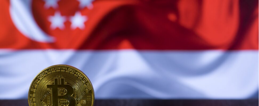 新加坡Web3清場之後，隱形玩家浮出水面