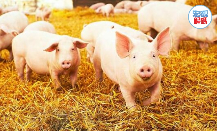 财华洞察|5月猪企售价持续上涨，新一轮“猪周期”窗口已至？