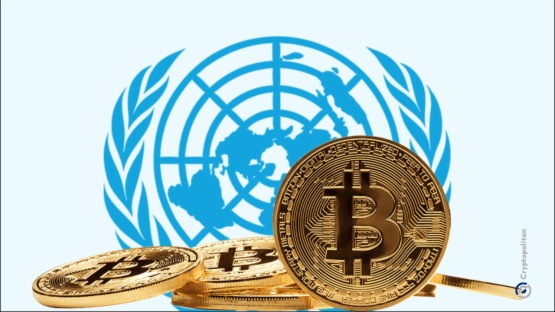 UNODC发布东南亚地区欺诈情况报告：加密货币成犯罪工具，各方需加强国际合作