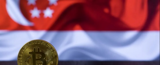 新加坡Web3清場之後，隱形玩家浮出水面