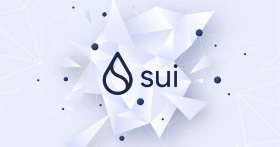 狩獵Alpha：從「最快L1」到「可編程互聯網棧」，SUI公鏈價值升維的背後邏輯