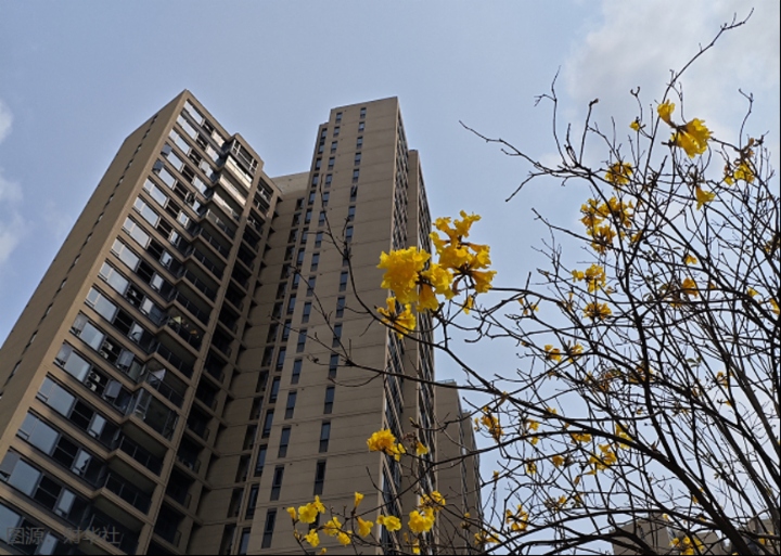 港股地产板块迎久违大涨！市场信心回来了？