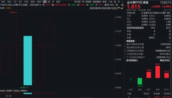 AI加速兑现，算力行情升级！“算力ETF”——云计算ETF汇添富(159273)收涨近1%，连续第4天大举揽金！
