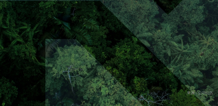 重塑能源涨近8%，氢能赛道迎“十五五”政策东风