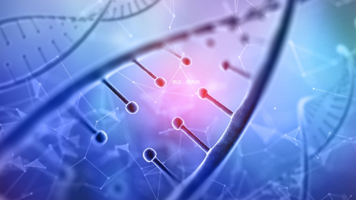 港股医药板块活跃，机构看好2026年布局机遇