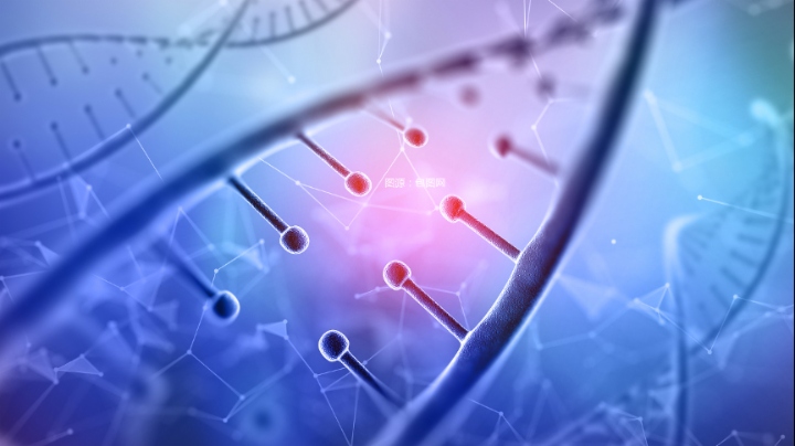 股价活跃！药明生物2025年营利双增，有何看点？