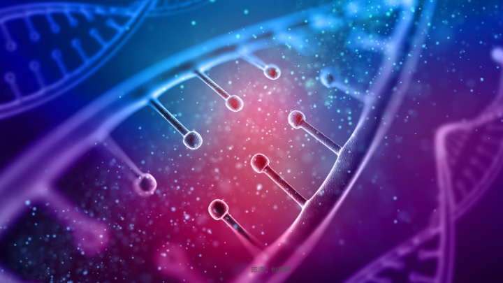 【百强透视】联邦制药（03933.HK）2025年业绩承压，创新药被寄予厚望